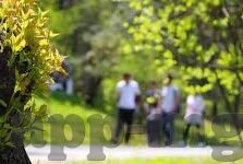 九游劲舞团手游下载-霓虹舞步，指尖跃动，九游劲舞团手游下载体验分享